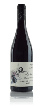 Abeille Charpentière - Beaujolais-Villages