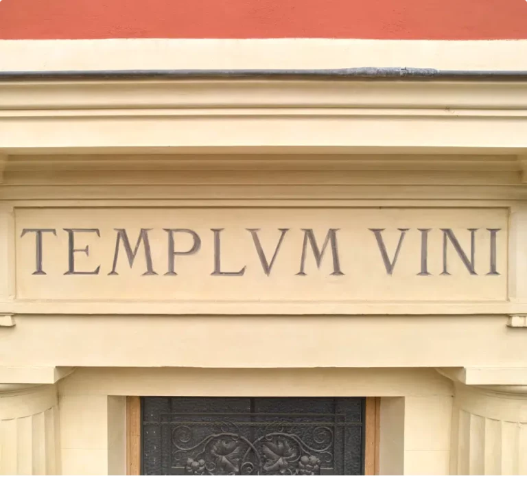 La Cave Coopérative du Château des Loges rejoint le Templum Vini de l&rsquo;institut Vermorel !